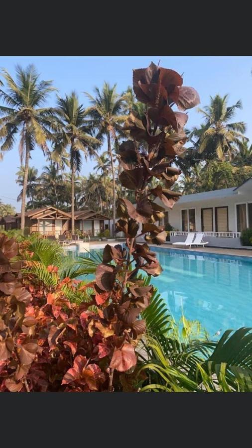 Golden Sands Resort, Morjim Exteriör bild